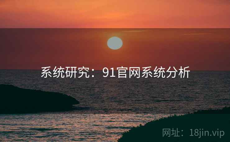 系统研究：91官网系统分析