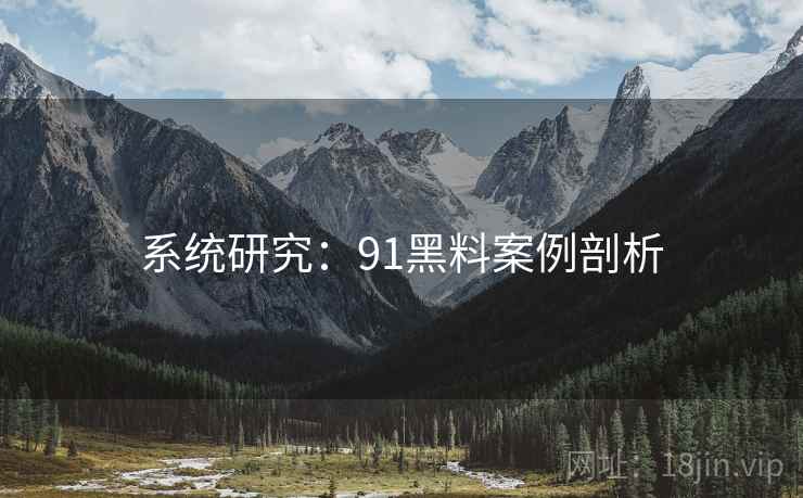 系统研究：91黑料案例剖析