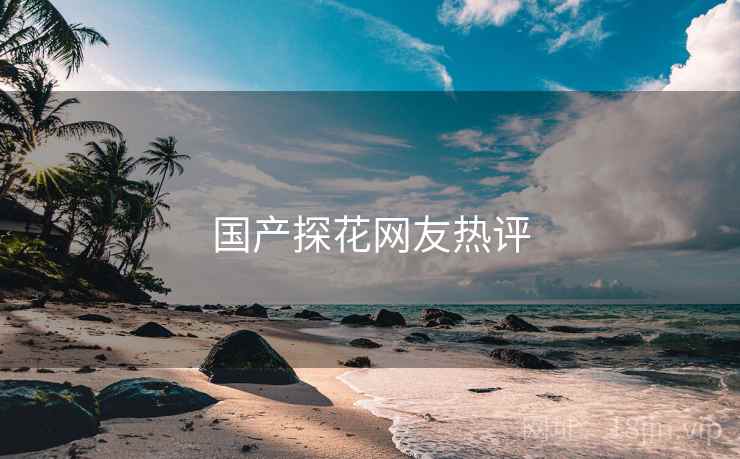 国产探花网友热评