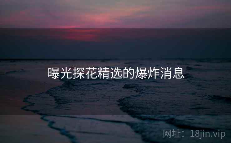 曝光探花精选的爆炸消息