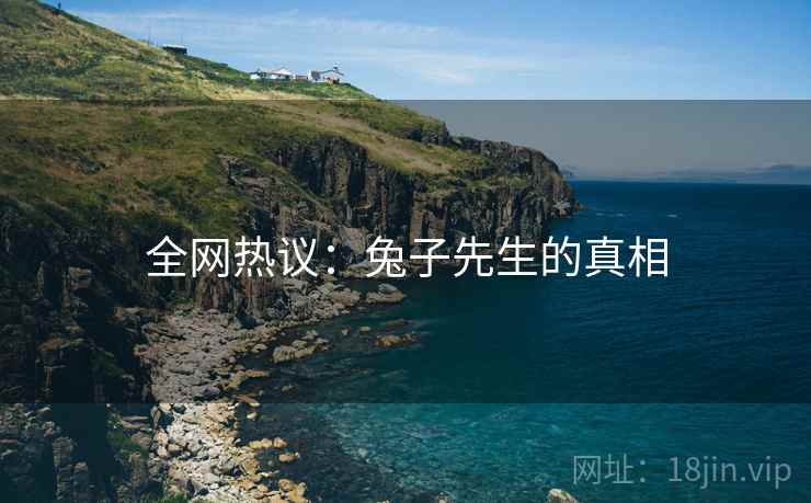 全网热议:兔子先生的真相