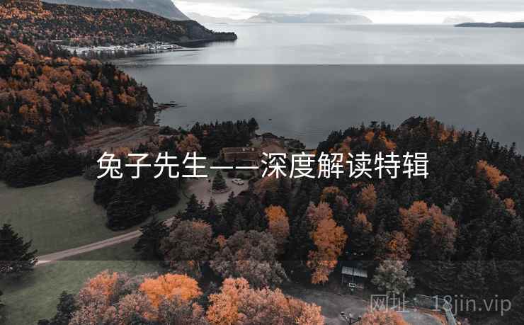 兔子先生——深度解读特辑
