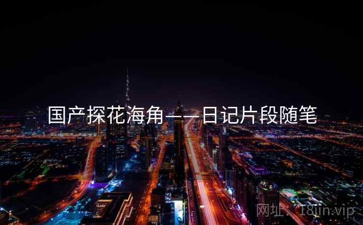 国产探花海角——日记片段随笔