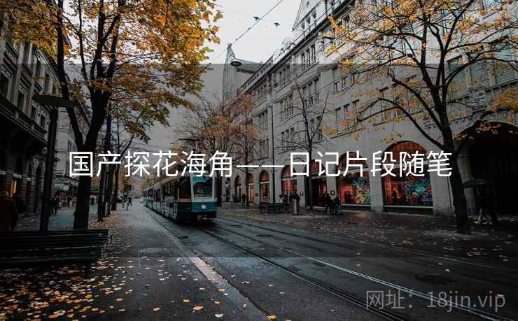 国产探花海角——日记片段随笔