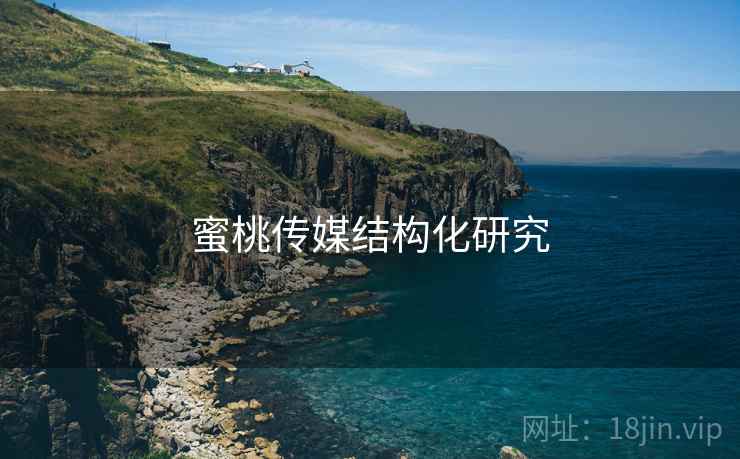 蜜桃传媒结构化研究
