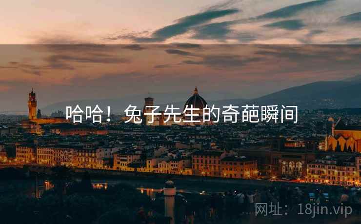 哈哈！兔子先生的奇葩瞬间