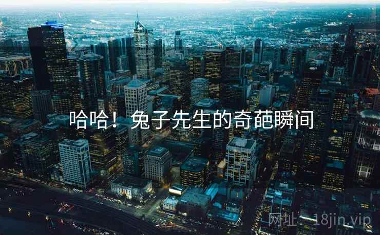 哈哈!兔子先生的奇葩瞬间