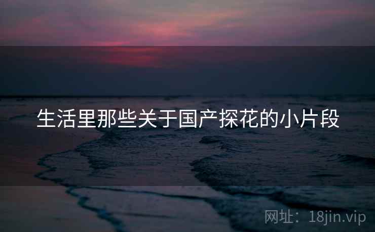 生活里那些关于国产探花的小片段