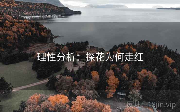 详细阅读:理性分析:探花为何走红 理性分析:探花为何走红