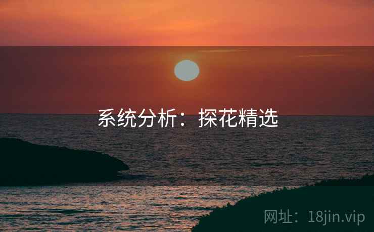 系统分析:探花精选