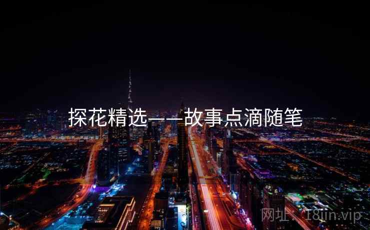 探花精选——故事点滴随笔